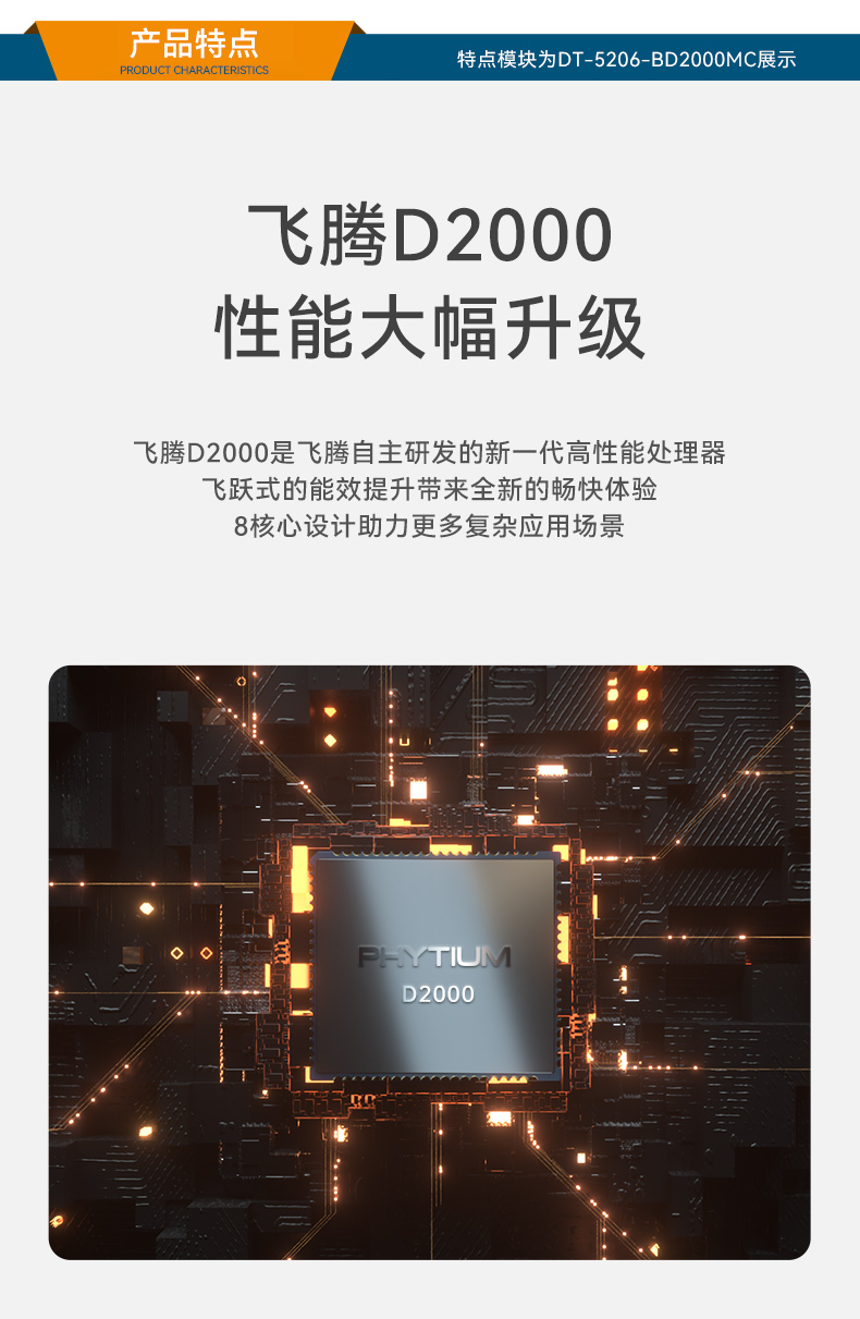 東田國(guó)產(chǎn)飛騰D2000 CPU,壁掛式樂(lè)清工控機(jī),DT-5206-BD2000MC.jpg